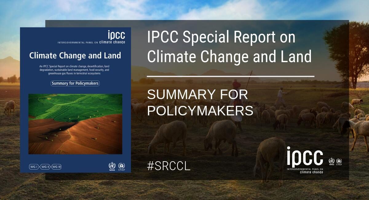 Växtbaserad mat för klimatet lyfts fram i ny IPCC-rapport