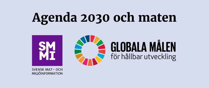 Gratis workshop om Agenda 2030 och maten i Stockholm